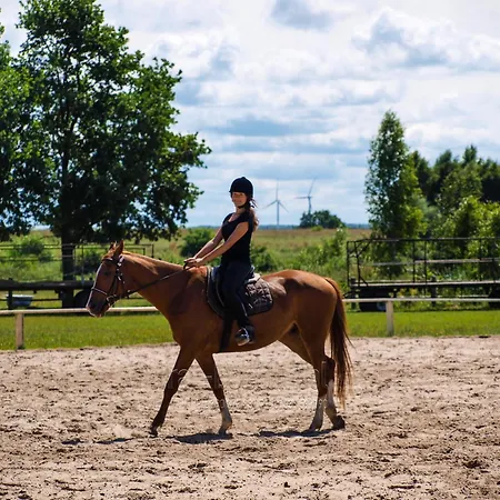 بيت خشبي Pirat Letniskowe *