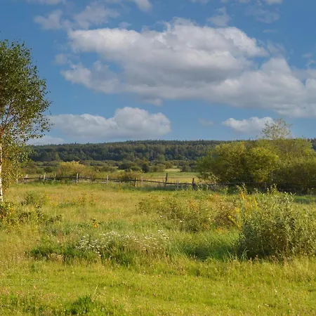 Pirat Letniskowe بابولين