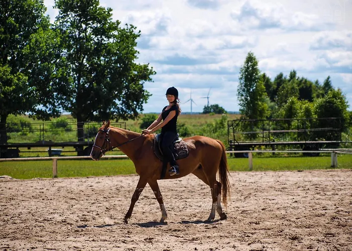 Lodge Pirat Letniskowe *