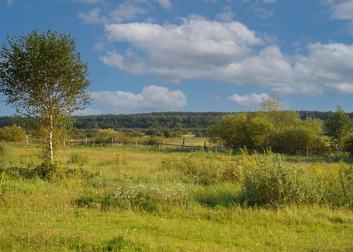 Pirat Letniskowe Bobolin